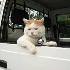 xHFI8a4PFMsFD2t's profile picture. 