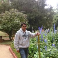PURUSHOTHAMAN RAM (@anom_rp) 's Twitter Profile
