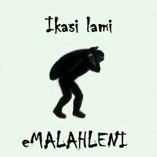 sandilelox3's profile picture. 