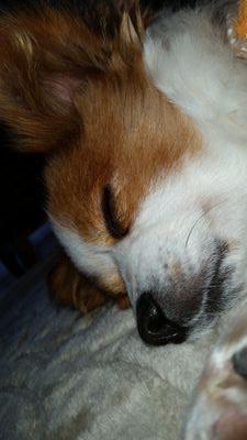 love20011984's profile picture. 