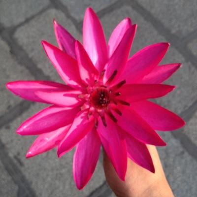Hard core funlove loving guy. Great massaging ability and can satisfy women of any desire through massage and fingering.