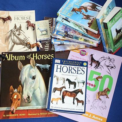 Homeschool Classifieds , Listing your homeschooling products or services for FREE !
