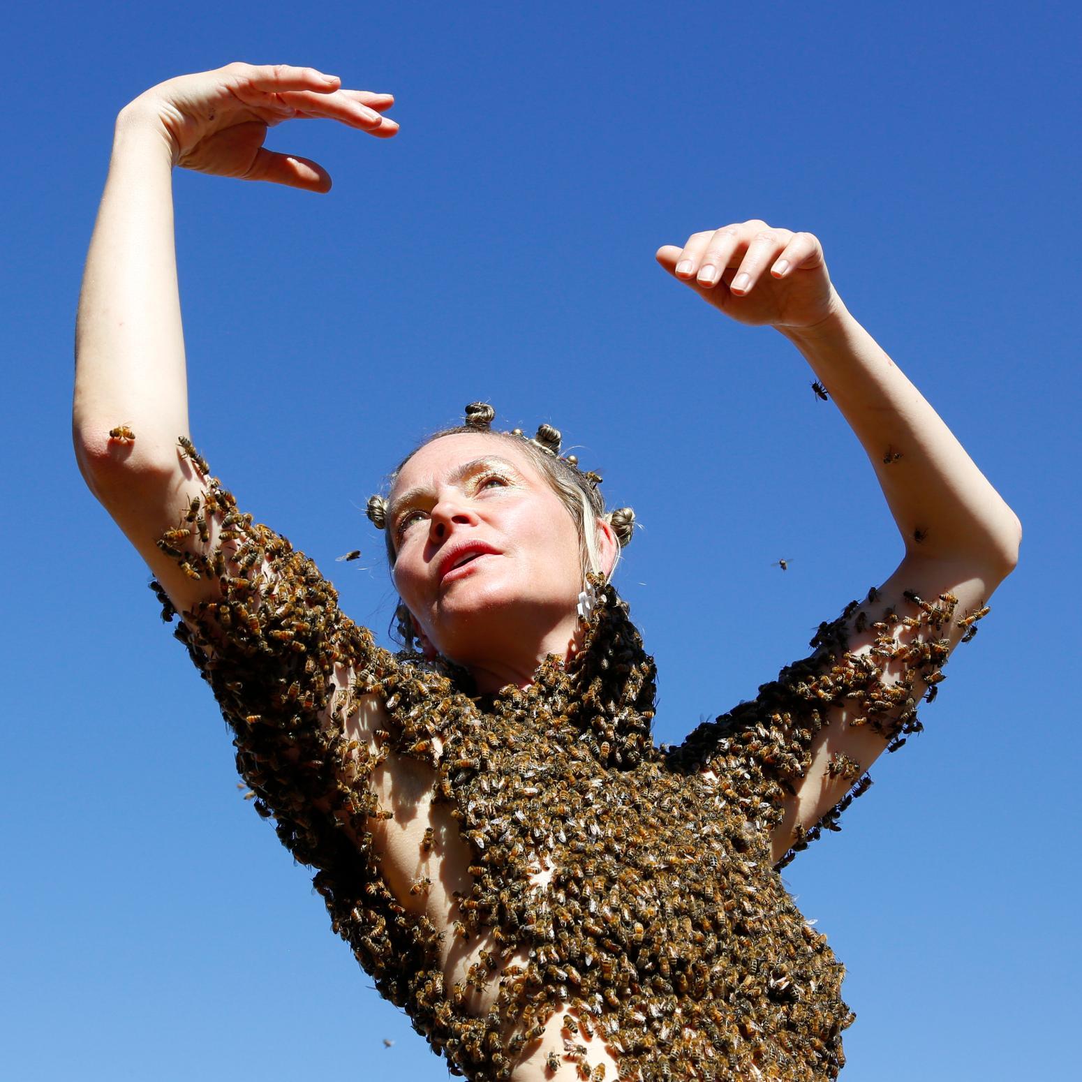 sarabeequeen's profile picture. Bee Dancer, Healer at Transparent Body, Artist, Builder, Co-owner and creator of The Golden Bee in Mexico, Caretaker of many Bee Hives in the great Northwest.