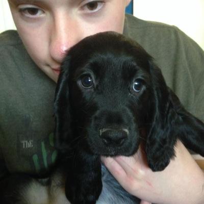 TheWhettleton's profile picture. 