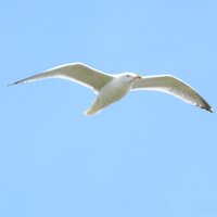 xyzzycoder (@xyzzycoder) 's Twitter Profile