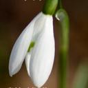 Sandra Brodie - @BrodieSandra - Twitter