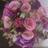 lesfleursfloral's profile image