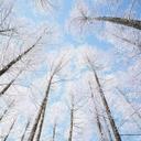 Marcel Lynn - @LynnFyodor - Twitter