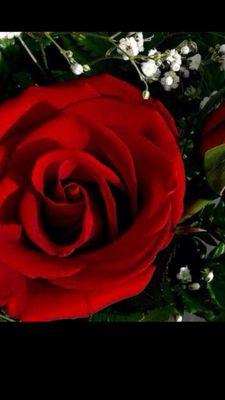 عَلَى ضِفَاف الْجَنَّه سَيُنْسَى كُل ذِي هُمْا هَمُّه ♥*