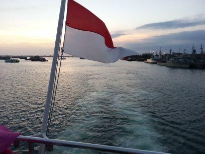 rarach_m's profile picture. 