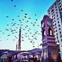RAED_502 (@swwed_256) Twitter profile photo