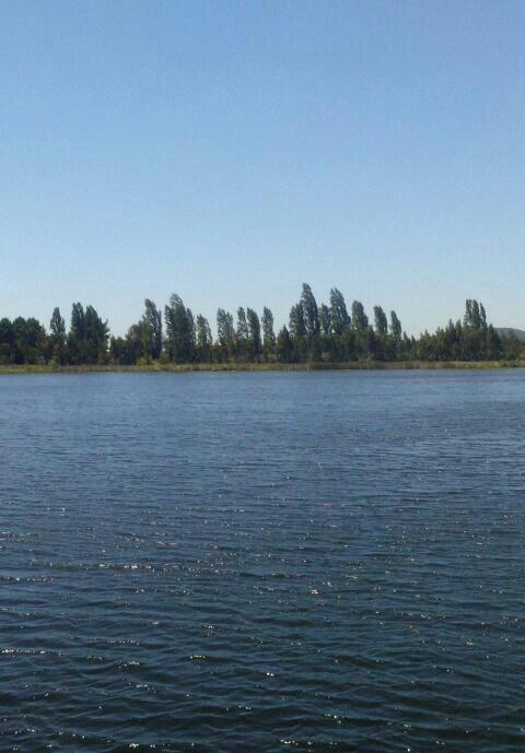 hrhermosilla's profile picture. 