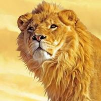 arvind jain (@arvind2002jain) 's Twitter Profile