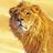 Arvind2002Jain's profile image