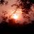 1976Rvishwa's profile image