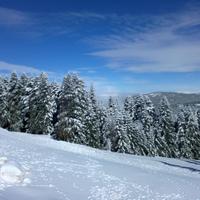 aysemelek (@aysemelek4891) 's Twitter Profile Photo