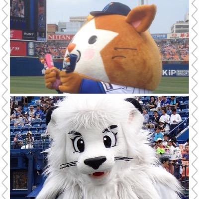 ベイスターズとライオンズを応援。社会人野球はセガサミー。横浜は #4度会、西武は #29青山 #127森脇 #84熊代 コーチを贔屓。 ※ロム専、趣味不一致アカウントからのフォローはブロックすることあり。 ♫は杉山清貴＆オメガトライブ　竹内まりや