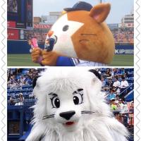 台羽　正 (@daibacchi) 's Twitter Profile Photo