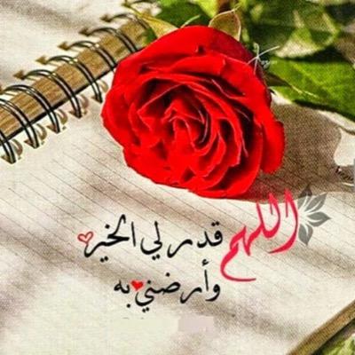 الخير كله في الرضا فإن أستطعت فأرضى وإن لم تستطع فأصبر