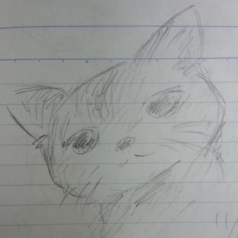 せつないねことしろすけ Sirosuke14 Twitter