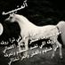 العتيبيه. 511 (@alotibih_1_1) Twitter profile photo العتيبيه. 511 (@alotibih_1_1) Twitter profile photo