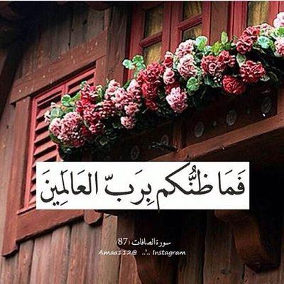 مديرة مكتب التعليم في خميس مشيط