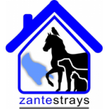 Rescue Zante Strays (@zantestrays) 's Twitter Profile