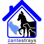 Rescue Zante Strays(@ZanteStrays) 's Twitter Profileg