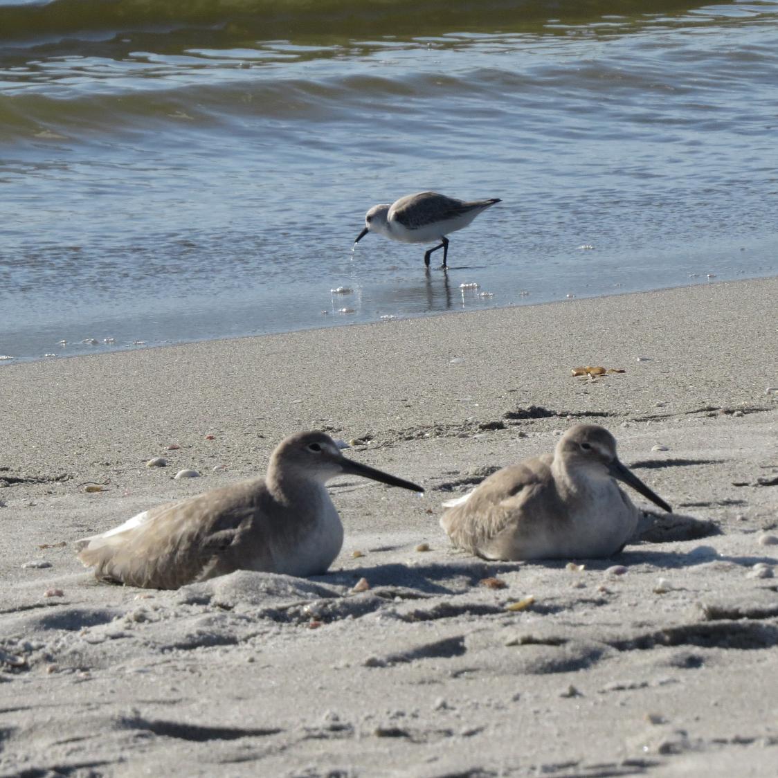 Ginzu2_Texagain's profile picture. 