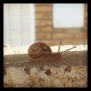 Cami Espinosa - @Camsan2202 - Twitter