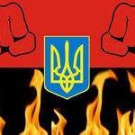 Дуже злий укроп (@zlyiukrop) 's Twitter Profile