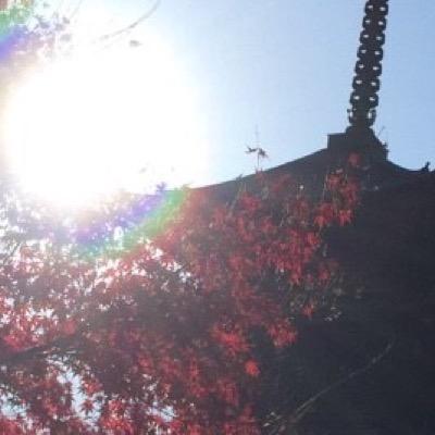 そーすさんのプロフィール画像