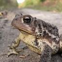 Josh Sayers - @joshsayers - Twitter