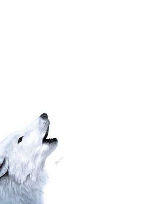 BryceTaco's profile picture. I was healthy I was king at least inside my last dream