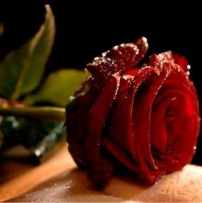 altamiz232's profile picture. 