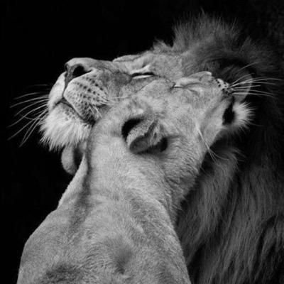 youngqueenshari's profile picture. M U S I C