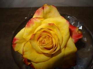 TeriShaw2's profile picture.