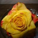 Teri Shaw - @TeriShaw2 - Twitter