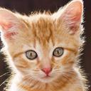 Kayla Bartels - @BartelsKayla - Twitter