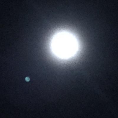 natlie834's profile picture. 