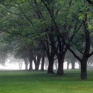 novti sucitra (@ingasucitra) 's Twitter Profile