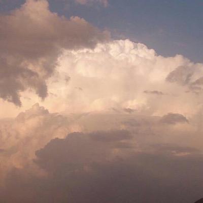 alialia6's profile picture. 