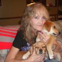 mark harden - @MarkMaggie68 - Twitter