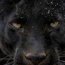 Aquila Grigia (@11eaglez) Twitter