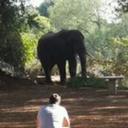 Roy Bruce Robertson - @RoyRobertson123 - Twitter