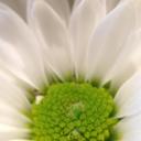 Tempest Lee - @TempestLeeBooks - Twitter