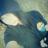 amberlynn8228's profile image
