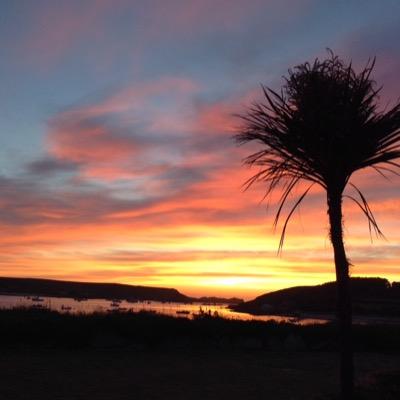 An experienced property professional living and working in cornwall wanting to share experience with others in the industry
