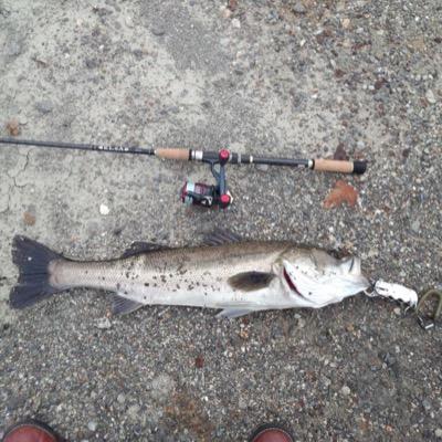 シーバスハンター Fishing18 Twitter シーバスハンター Fishing18 Twitter