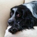 Helen Close - @helenjmclose671 - Twitter